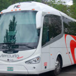 🚚 Descubre los mejores servicios de transporte de mercurio en Morelia ¡Haz que tus envíos brillen!