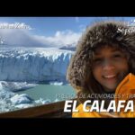 🚍💰 ¡Descubre los precios de transporte desde El Calafate al Glaciar Perito Moreno!