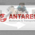 🚚✨ Transportes Antares: Servicio confiable y eficiente para tus envíos 📦🌟