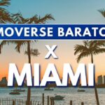 🚌🌴 Los mejores servicios de transportes en Miami: Guía completa 2022 🌴🚌
