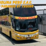 🚚 Transportes Molina: Un servicio confiable para tus necesidades de transporte 🚚